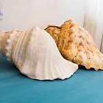 Apartamento Timanfaya